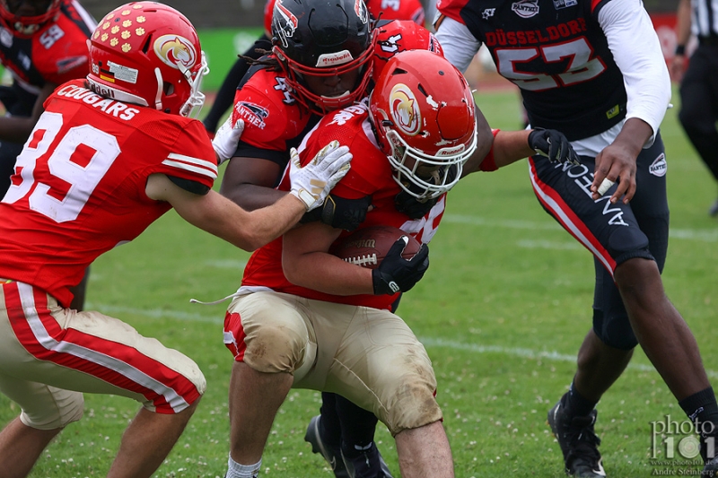 Klicken für Bild in voller Größe