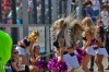 20240825-Frankfurt-Galaxy-Dancers-IMG_8622.jpg