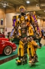 20191129-Bumblebee-IMG_5155.JPG